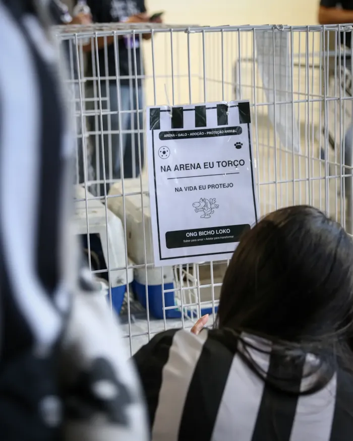 Feira de adoção na Arena MRV em Belo Horizonte - imagem 4