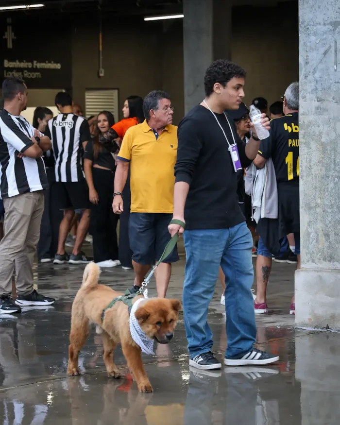Feira de adoção na Arena MRV em Belo Horizonte - imagem 5