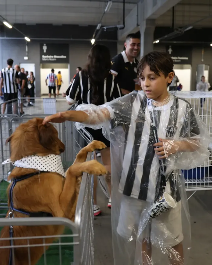 Feira de adoção na Arena MRV em Belo Horizonte - imagem 6