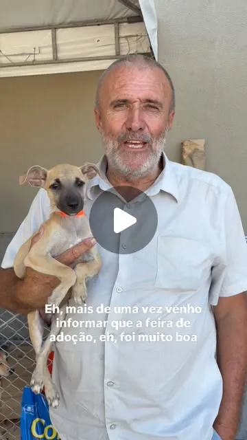 Feira de adoção no Shopping Farol em Maceió