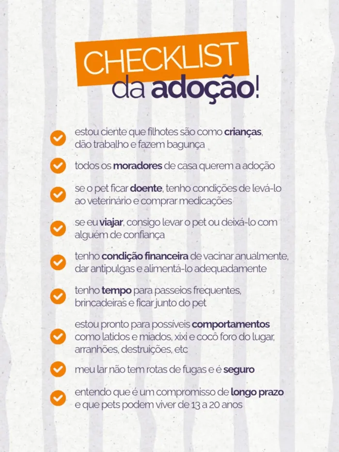 Evento de adoção de filhotes em Tremembé - imagem 2