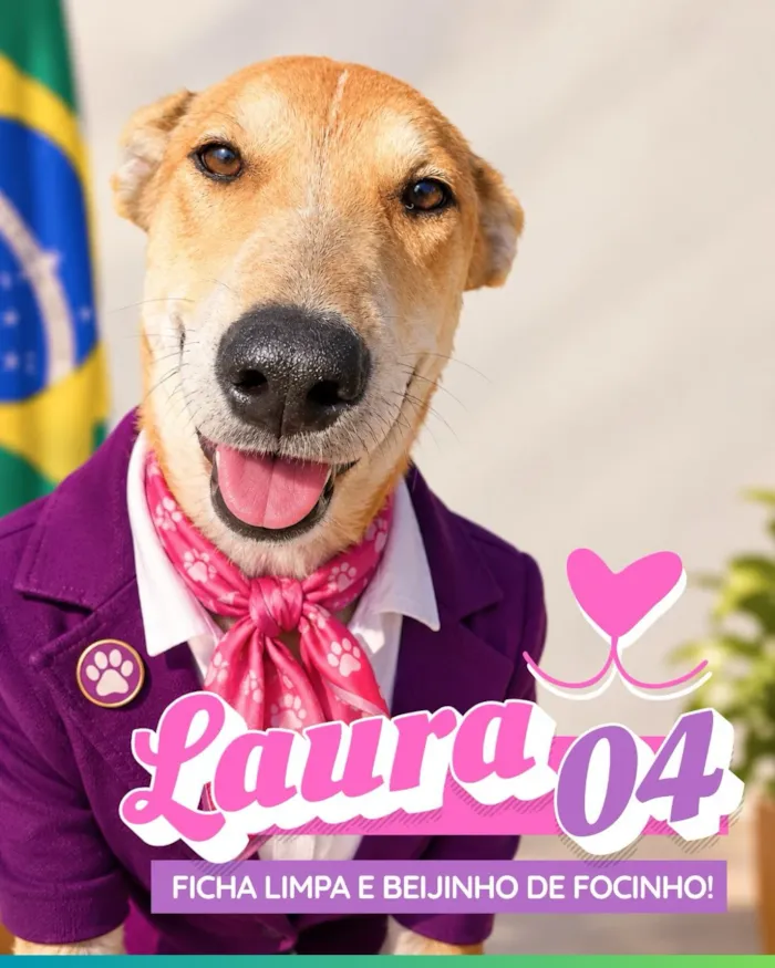 Adoção de cães e gatos em Alvorada neste domingo - imagem 2