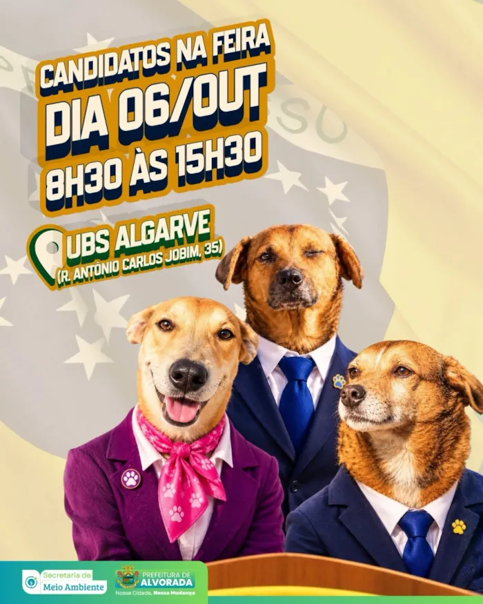 Adoção de cães e gatos em Alvorada neste domingo - imagem 5
