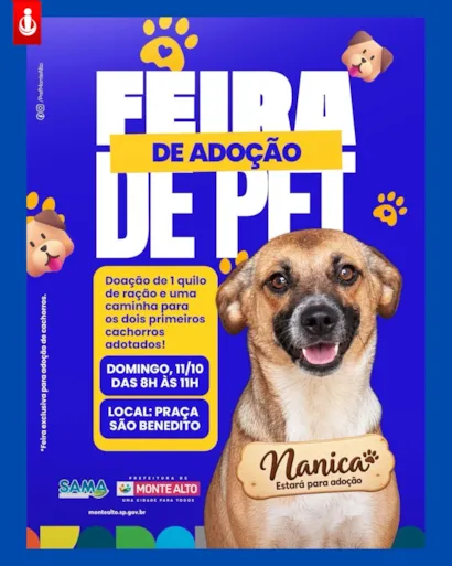 Feira de adoção de cães do Canil em Monte Alto