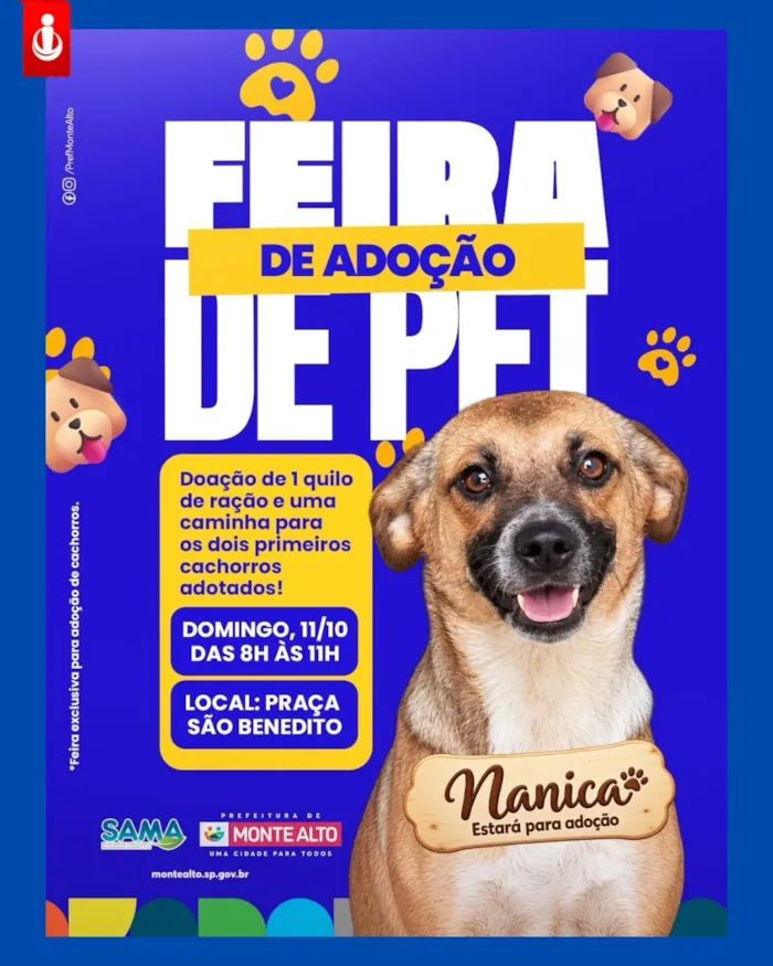 Evento Feira de adoção de cães do Canil em Monte Alto