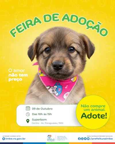 Feira de adoção de cães e gatos acontece em Imbé