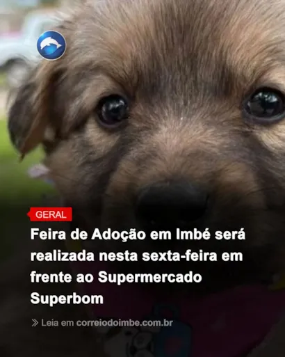 Feira de adoção em Imbé nesta sexta-feira no Superbom