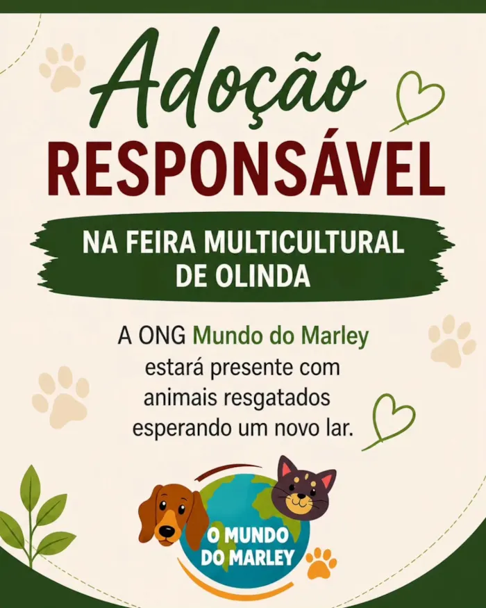 Feira de adoção em Olinda na Feira Multicultural - imagem 2