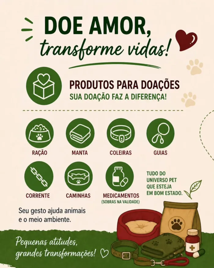 Feira de adoção em Olinda na Feira Multicultural - imagem 4