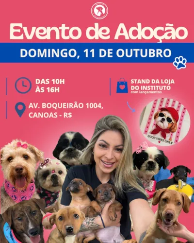 Feira de adoção de cães e gatos acontece em Canoas