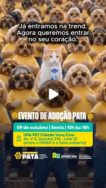 Evento de Adoção Pata em Aparecida nesta sexta-feira