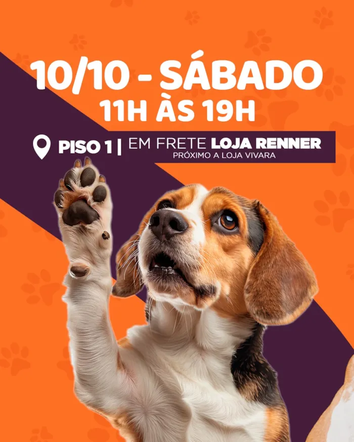 Feira de adoção responsável de pets em Cuiabá - imagem 2