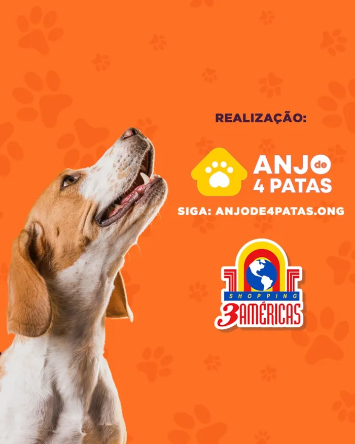 Feira de adoção responsável de pets em Cuiabá - imagem 3