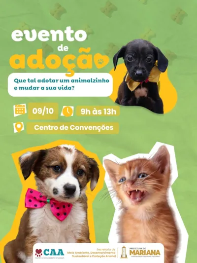 Feira de adoção de cães e gatos em Mariana (MG)