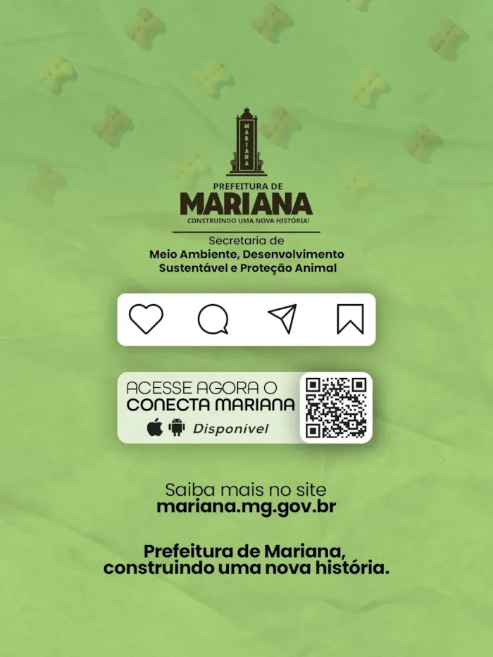 Feira de adoção de cães e gatos em Mariana (MG) - imagem 2