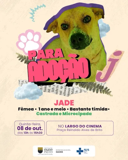 Feira de Adoção e Vacinação em Ouro Preto nesta quinta-feira