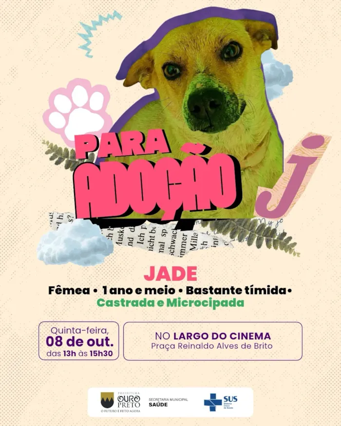 Feira de adoção de cães e gatos em Ouro Preto nesta quinta-feira (08/10), das 13h às 15h30, na Praça Reinaldo Alves de Brito. Haverá vacinação antirrábica