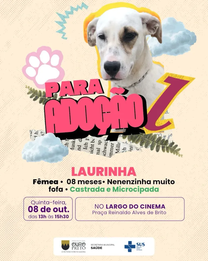 Feira de Adoção e Vacinação em Ouro Preto nesta quinta-feira - imagem 2