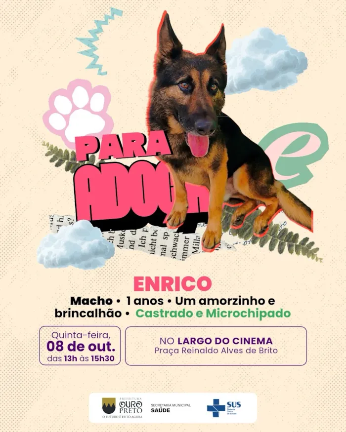 Feira de Adoção e Vacinação em Ouro Preto nesta quinta-feira - imagem 3