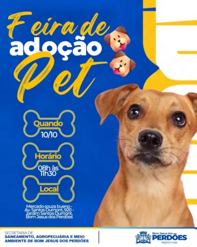 Feira de adoção responsável em Bom Jesus dos Perdões