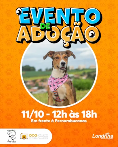 Feira de adoção em Londrina no Norte Shopping