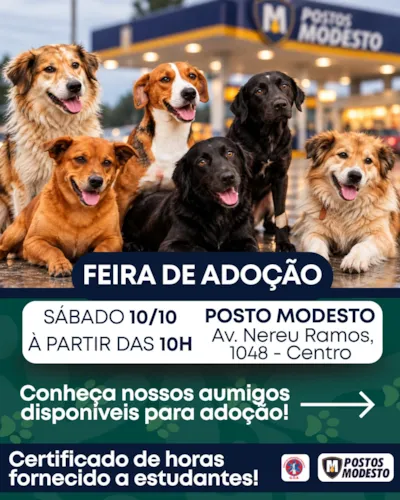 Feira de adoção em Tijucas reúne cães e gatos