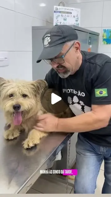Evento de adoção em São Paulo acontece sábado, 10 de outubro, das 9h às 17h, com animais à espera de um lar e entrevista.