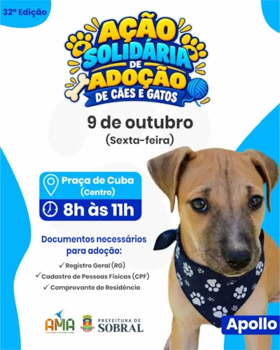 32ª Ação solidária de adoção de cães em Sobral