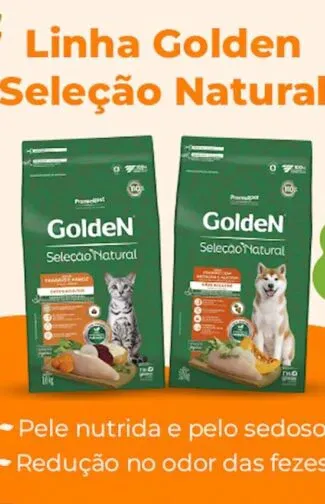 Evento de adoção de cães e gatos em Jundiaí acontece em 10 de outubro de 2026; conheça animais que aguardam uma família.