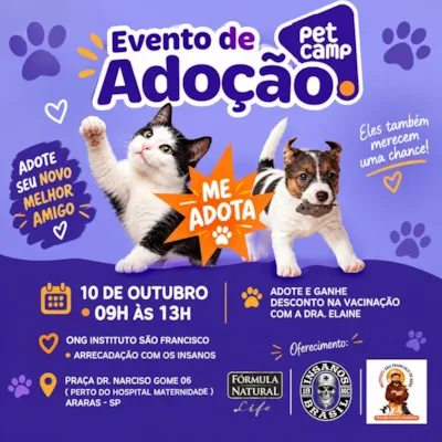 Evento de adoção em Araras reúne cães e gatos