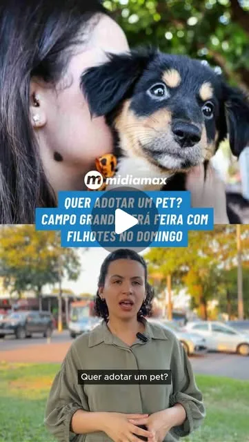 Feira de adoção responsável de pets em Campo Grande