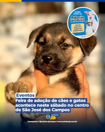 Feira de adoção de cães e gatos em São José dos Campos
