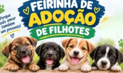 Feira de filhotes em Reserva acontece em 18 de outubro, a partir das 13h30, no Parque das Famílias, com animais à espera de um lar.