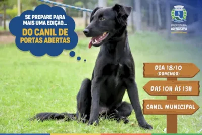 Feira de adoção no Canil Municipal de Botucatu