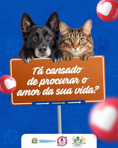 Feira de Adoção de Pets em Fernandópolis nesta terça (13)