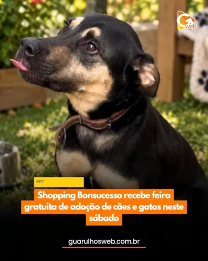 Feira de adoção em Guarulhos no Shopping Bonsucesso