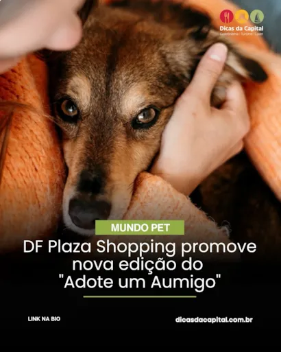 Adote um Aumigo: adoção de pets em Brasília