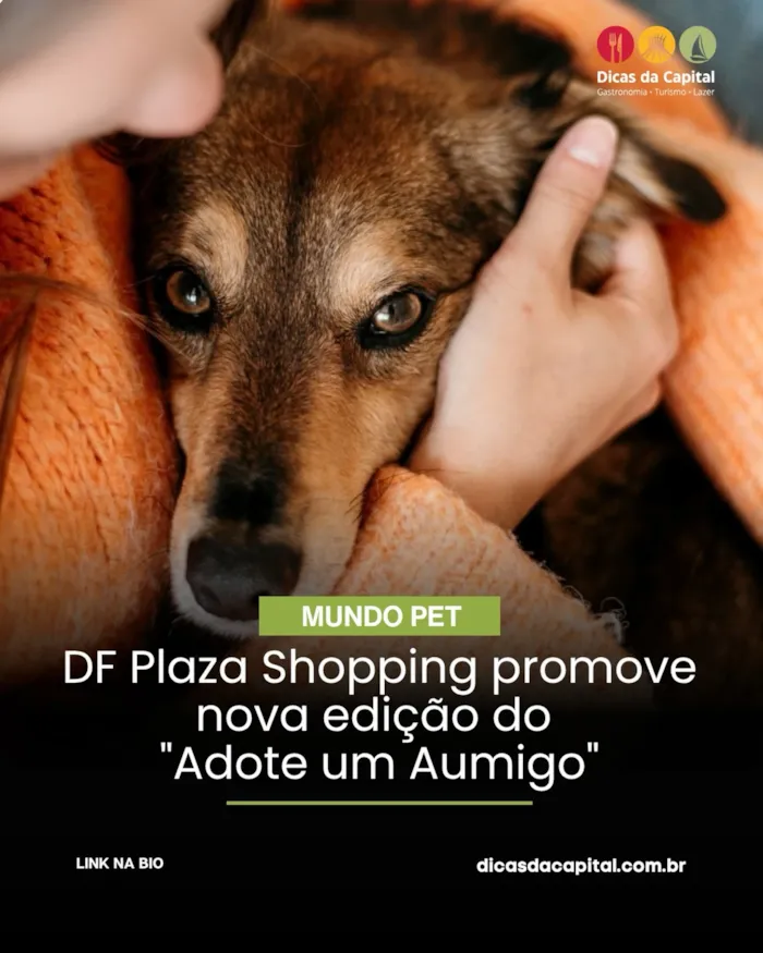Evento de adoção em Brasília acontece em 10 de outubro no DF Plaza Shopping, com cães e gatos resgatados à espera de um novo lar.