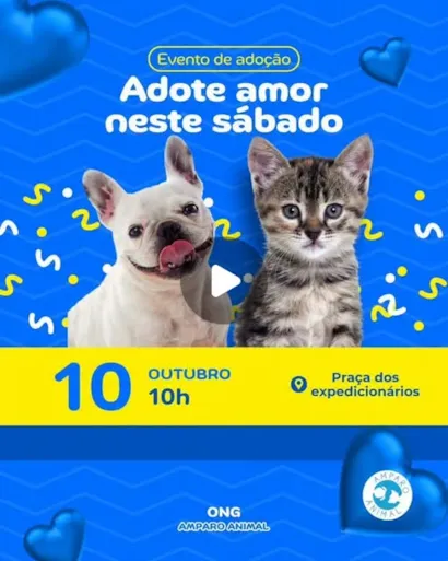 Evento de adoção de cães e gatos em Suzano