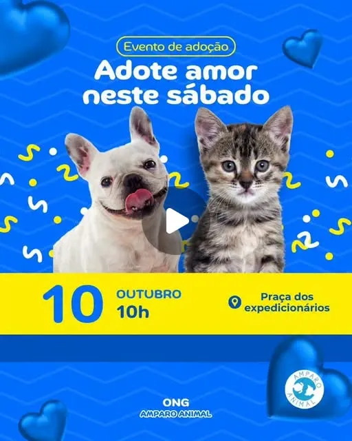 Evento de adoção reúne cães e gatos em Suzano neste sábado, 10 de outubro, das 10h às 15h, na Praça dos Expedicionários, no Centro.