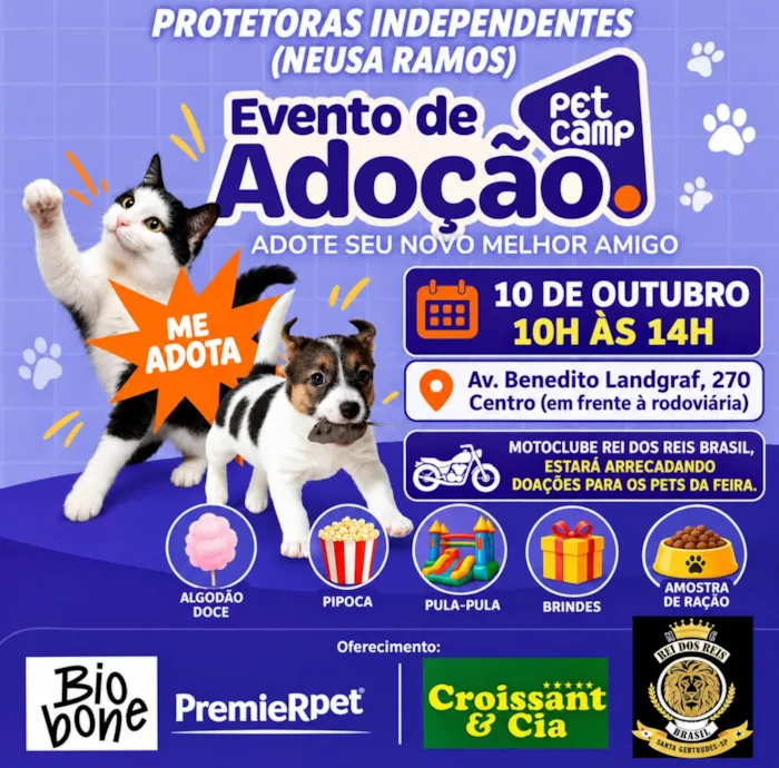 Cães e gatos estarão disponíveis para adoção em Leme em 10 de outubro, das 10h às 14h, com brincadeiras, brindes e amostras de ração.