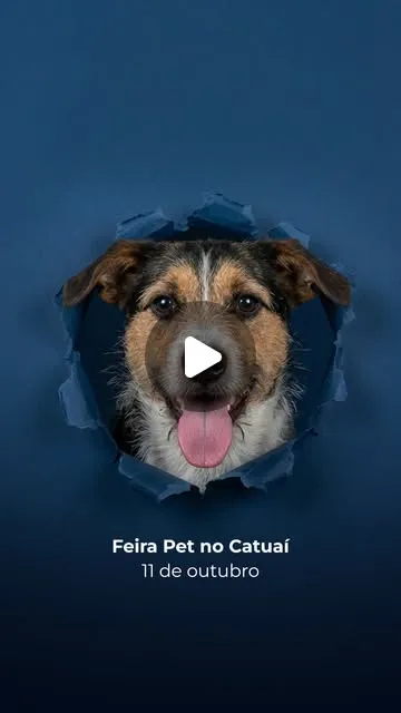 Feira de adoção em Maringá acontece em 11 de outubro, das 13h às 16h, no Catuaí Shopping, com adoção gratuita e orientação responsável.