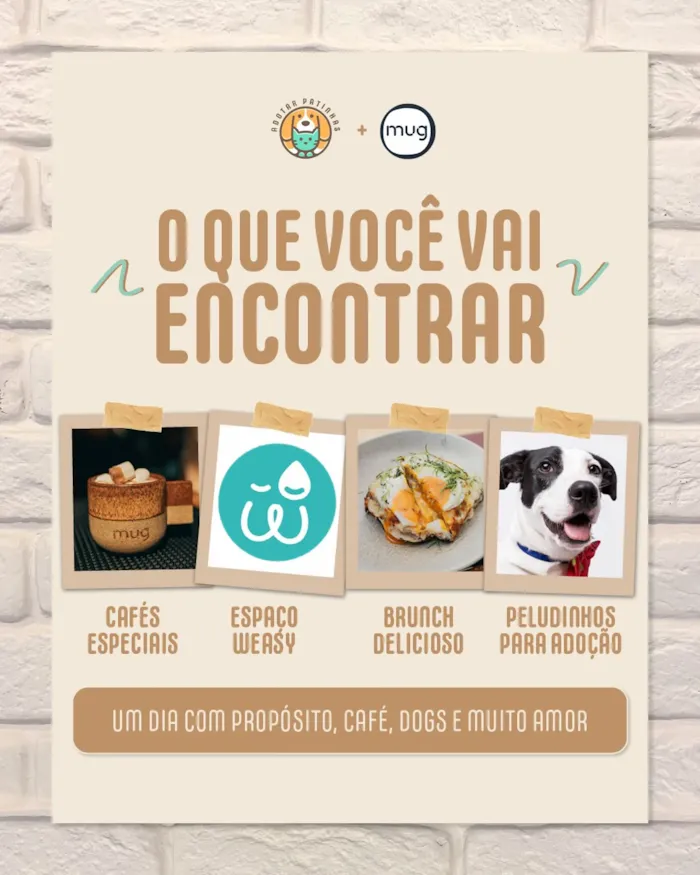 Feira de adoção em São Paulo: Dog Brunch na Mug - imagem 3