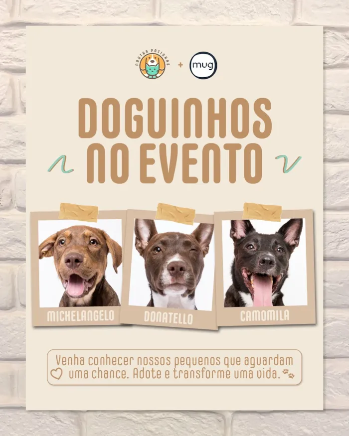 Feira de adoção em São Paulo: Dog Brunch na Mug - imagem 4