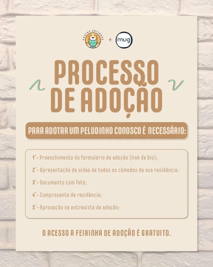 Feira de adoção em São Paulo: Dog Brunch na Mug - imagem 8