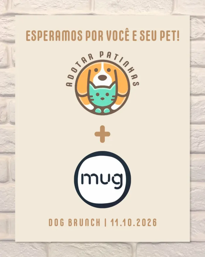 Feira de adoção em São Paulo: Dog Brunch na Mug - imagem 9