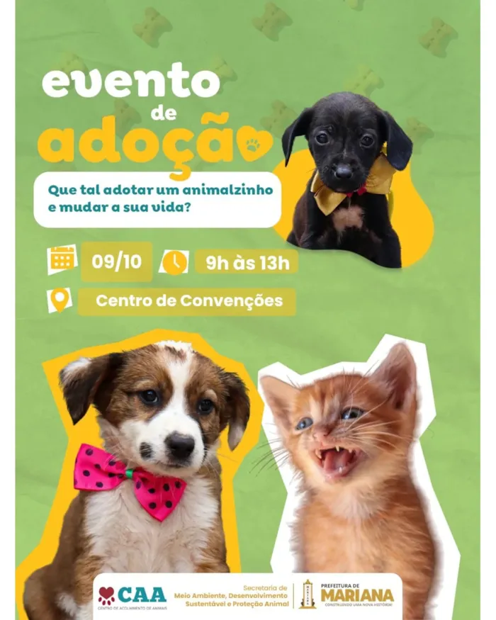 Feiras de adoção de pets em Barueri em outubro - imagem 7