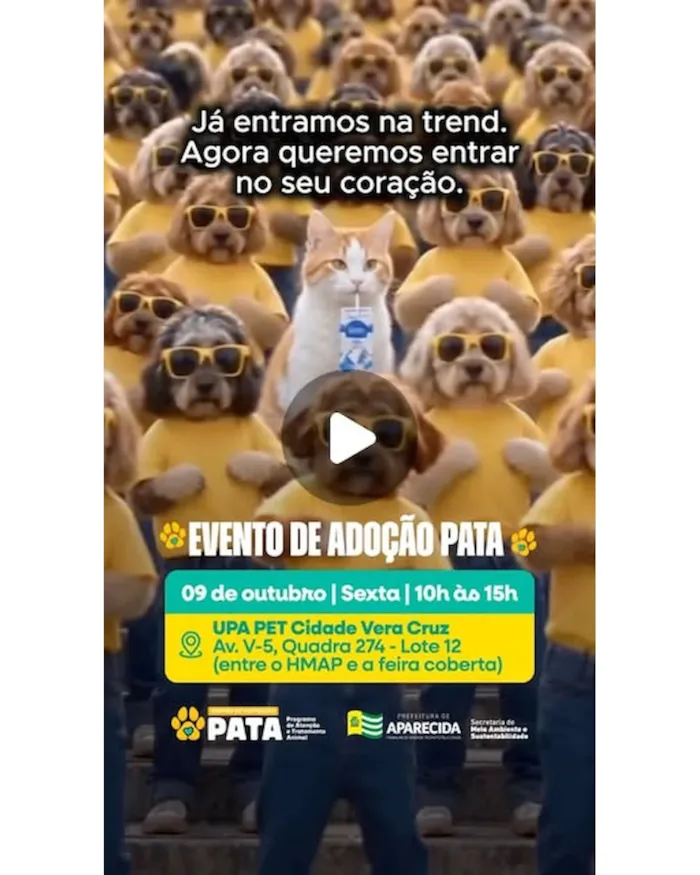Feiras de adoção de pets em Barueri em outubro - imagem 9