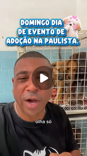 Feira de adoção na Avenida Paulista, São Paulo
