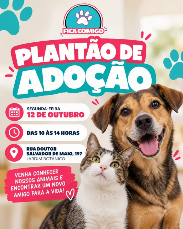 Em Curitiba, 12 de outubro, das 10h às 14h, o abrigo recebe cães e gatos de todos os portes e idades para adoção responsável.